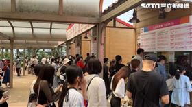 新竹,六福村,狒狒,脫逃,槍殺,連假