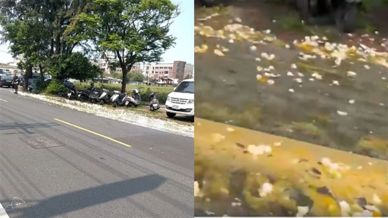 蛋車行經滑落11箱雞蛋！新竹路段慘遭蛋洗