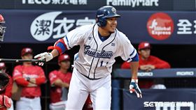 ▲富邦悍將主場開幕戰，指定打擊蔣智賢。（圖／記者劉彥池攝影）