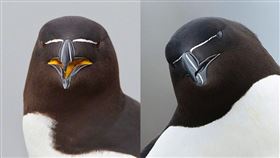 （圖／翻攝自「寶榛的動物園兒」臉書）