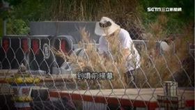 ▲清明節掃墓。（圖／三立新聞網）