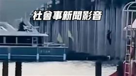 日月潭狒狒攀爬碼頭？！真相曝光令人想哭（圖／翻攝畫面）