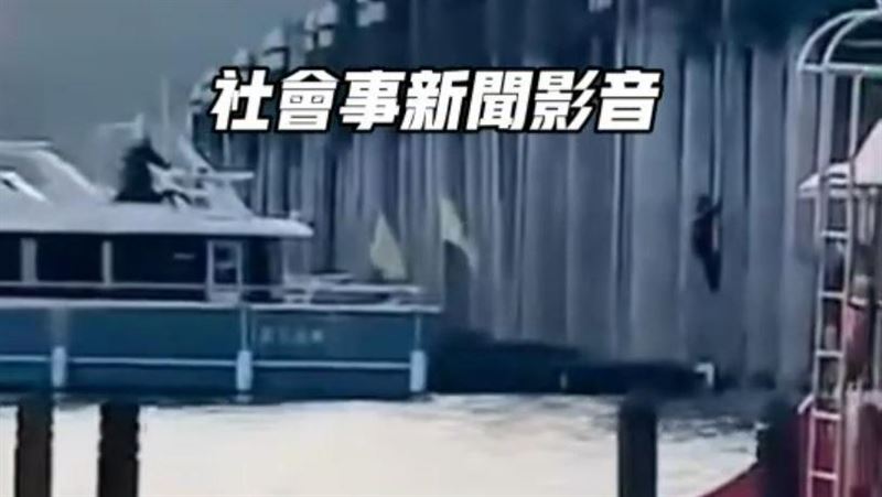 日月潭狒狒攀爬碼頭？！真相曝光令人想哭