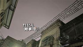 燕子,電線,鳥屎,新竹（圖／翻攝自臉書《竹北人有事嗎》）