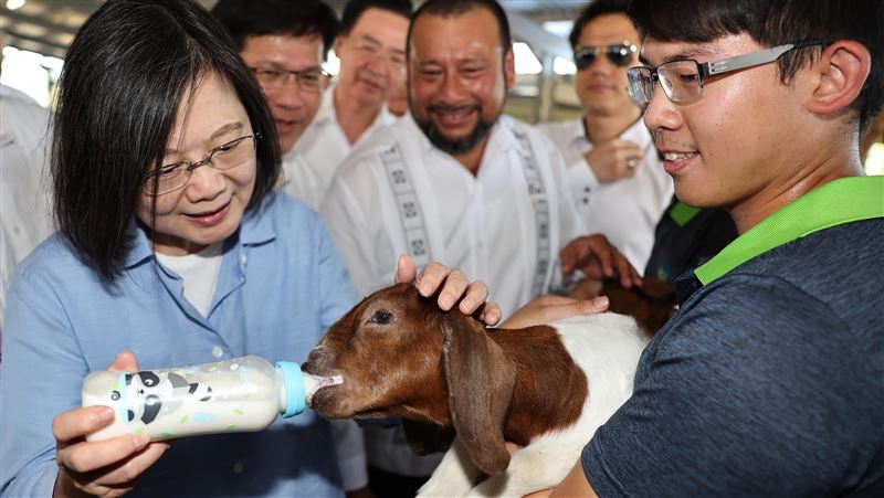 小英拚外交有感　醫曝嫩照：也曾盡了心力