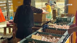 出遊最夯伴手禮！連假「搶蛋潮」延燒台東