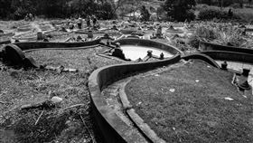 掃墓(記者陳弋攝影)