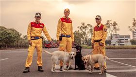 新竹市,搜救犬,IRO認證（圖／新竹市消防局提供）