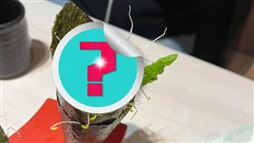  （圖／翻攝自「爆廢公社二館」臉書）