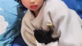 媽媽發現家中傳出「呱呱聲」，意外發現女兒跟青蛙睡在一起。（圖／翻攝自微博）