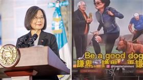 小粉紅登廣告攻擊蔡英文。（圖／翻攝自蔡英文臉書、推特）