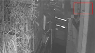 偷20億宮廟香火錢　用「這」破窗險得手