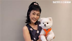 女星唐玲罹患胃癌第4期，目前仍積極在治療。（圖／記者游定剛拍攝）