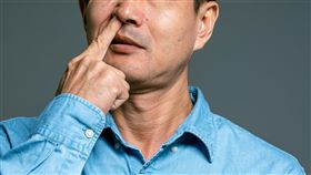 鼻孔,挖鼻孔(翻攝自 Pexel)