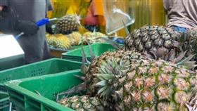 芒果鳳梨(翻攝畫面)