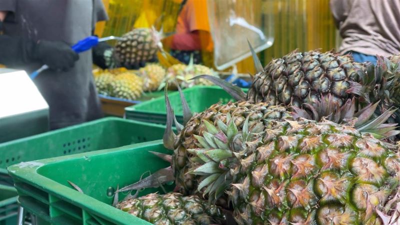 芒果鳳梨驚傳外流中國　農委會怒批4個字