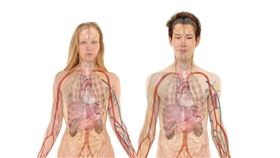 記者林宥村攝影、節目提供、翻攝自PIXABAY