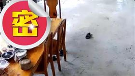  （圖／翻攝自@user42185468 TikTok）