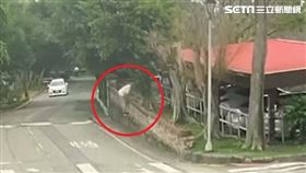 台中監獄受刑人姜建利逾假未歸遭通緝，最後身影曝光。監視器。（圖／民眾提供）