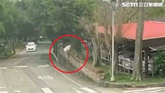 中監外役監受刑人逾假未歸　最後身影曝光