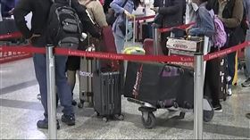 「沒收到停飛通知」旅客急搭高鐵北上　另買航班,出國,旅客,託運行李