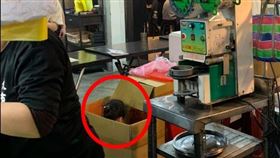 紙箱,攤販,攤車,夜市,小孩