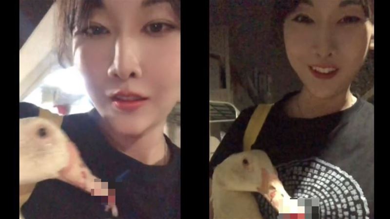 正妹專跑送肉粽現場！不畏沖煞救出瀕死鴨