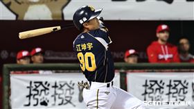 ▲味全龍主場開幕戰，中信兄弟游擊手江坤宇高飛犧牲打，張志豪攻下超前分。（圖／記者劉彥池攝影）