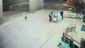 囝仔昌,外甥,丟包,傷重不治,安南醫院