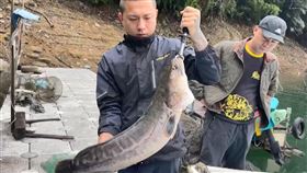 日月潭,魚虎,低水位,旱象,紅魔鬼,珍珠石,南投