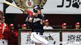 ▲中信兄弟二壘手岳東華。（圖／記者劉彥池攝影）