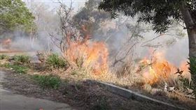 苗栗苑裡，縱火犯，公墓起火(圖／翻攝畫面)