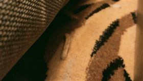 原PO入住星級飯店，在床底下發現薯條。（圖／翻攝自《好想住飯店好康.踩雷不藏私》臉書社團）