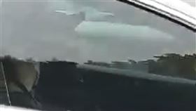 特斯拉,自動駕駛,違法,國道,方向盤,宜蘭,