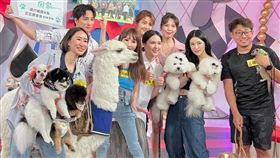 首集主持人、來賓與萌寵們。（圖／翻攝自maimai_tata IG）