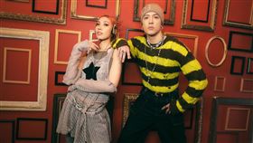 Karencici（圖／華研國際提供）