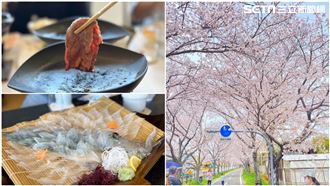 台灣復飛日本佐賀了！必去景點美食報你知
