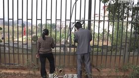 緬甸仰光，詐騙園區，果敢老街，父母焦急等待20天，中緬邊境，地獄。(圖／翻攝自微博)