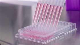 高端腸病毒疫苗（圖／翻攝自高端官網）