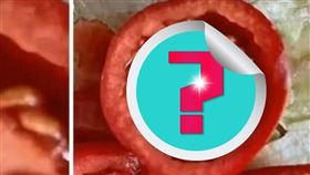 （圖／翻攝自爆廢公社）