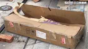 新移民遇裝修蟑螂還驚見女體箱屍。（圖／投訴人提供）