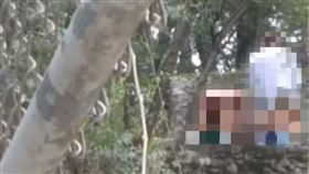 公園活旁春宮片瘋傳！2男1女「3人激戰」知道被拍片這麼做超狂。推特