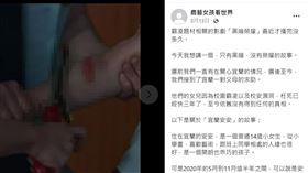 霸凌,牽手,有病,墜樓,宜蘭,安安,農藝女孩看世界,國中生,高中生,台中,