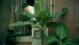 和平歸來。（馬克吐溫國際影像有限公司提供