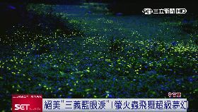 (專案)西湖賞桐螢18i182411