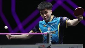 台灣桌球一哥林昀儒。（資料圖／翻攝自WTT官網）