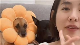 米可白。（翻攝自IG