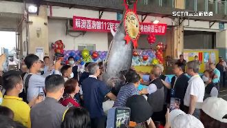 南方澳第一鮪320KG！拍賣價224萬創新高