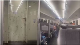 自強號,大水蟻（圖／翻攝自爆料公社）