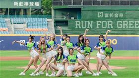 圖二：富邦金控及富邦悍將也特別在新莊棒球場的「打者之眼」以沼澤綠、叢林葉綠彩繪「Run For Green™」，是中職球場首創的彩繪打者之眼。（圖／富邦金提供）